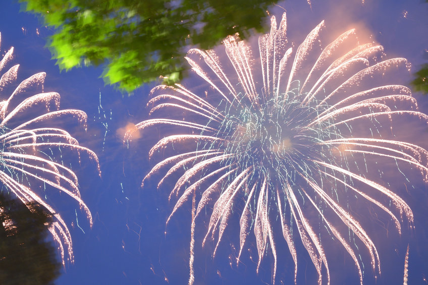 Fireworks have long-lasting impact on birds