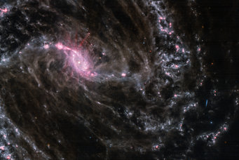 A coloured network that resembles a vortex with a central condensation. The outer areas of the swirl appear blue-greyish with local islands coloured magenta, while the bar-shaped core area is coloured magenta.