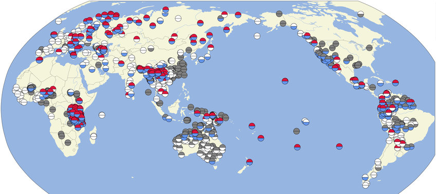 Many languages which use the same word for “arm” and “hand” (colored in red) also use the same word for “leg” and “foot” (colored in blue).